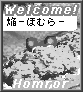 special card