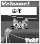 special card